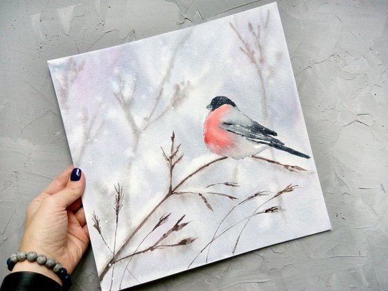 Bullfinch \ Winter Bird