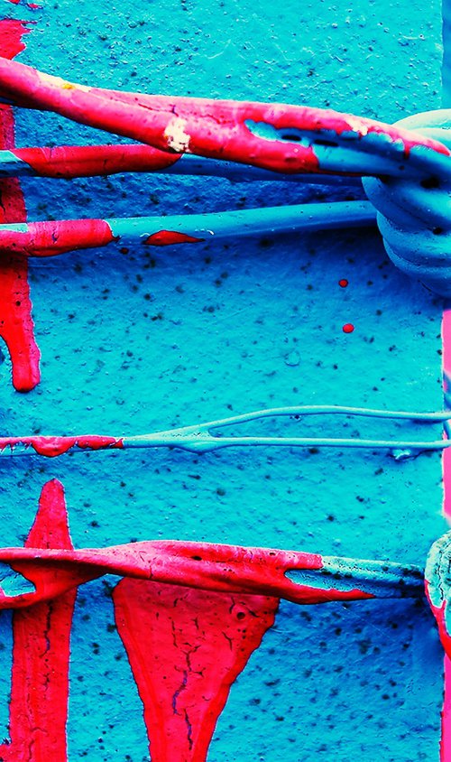 blue and Red Barbed wire by Abba Richman