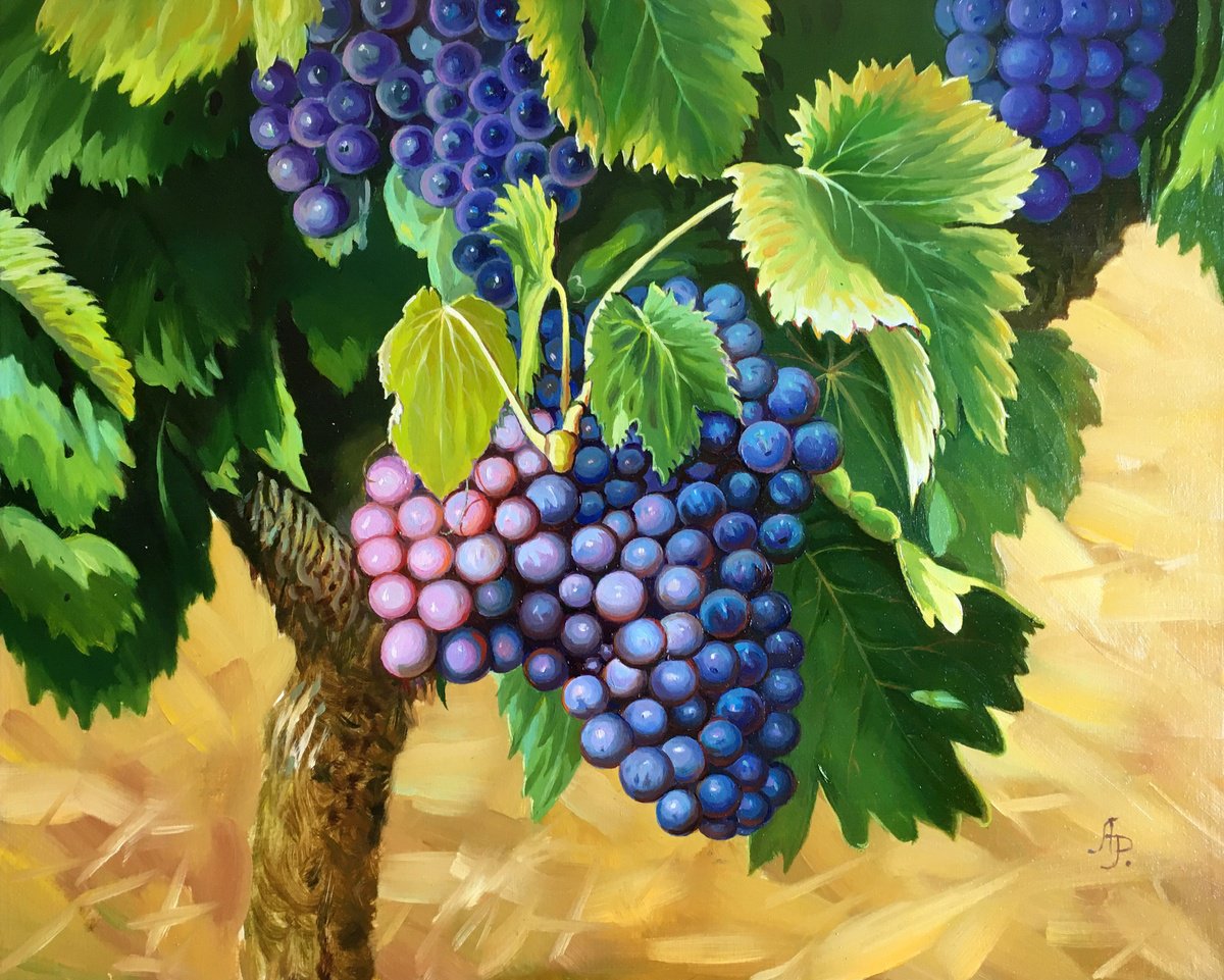 Photorealistic Oil Painting , Bunches Of Grapes By Olena Romanenko, 20 X 16, Artwork For Sale On Artfinder