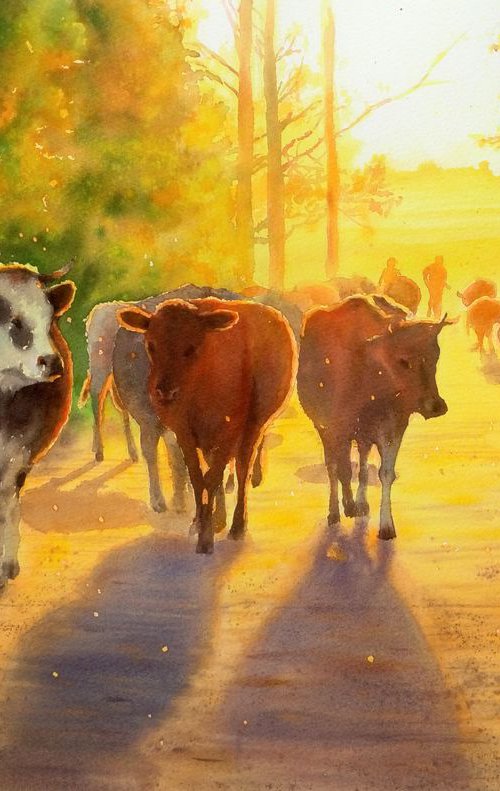 Herd of cows by Olga Beliaeva Watercolour