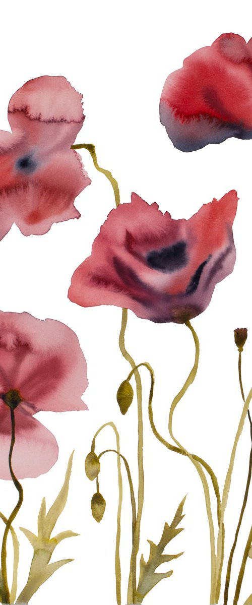 Poppies No. 3 by Elizabeth Becker