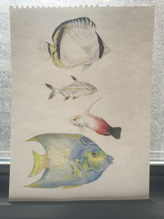 Four Fish Original Watercolor