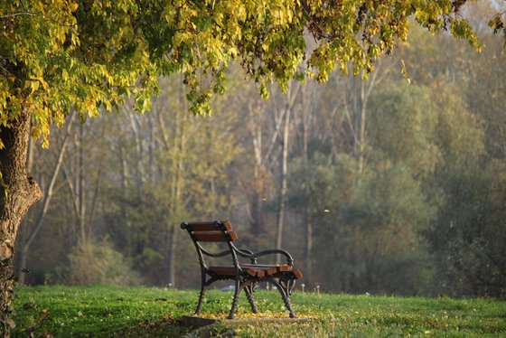 Bench in the fall