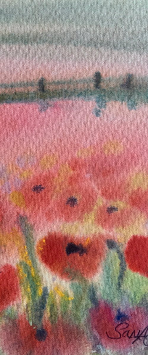 Poppy landscape by Samantha Adams