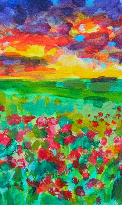 Sunset with a green field by Maja Grecic