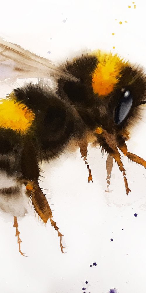 Bumblebee #2 by Olga Beliaeva Watercolour