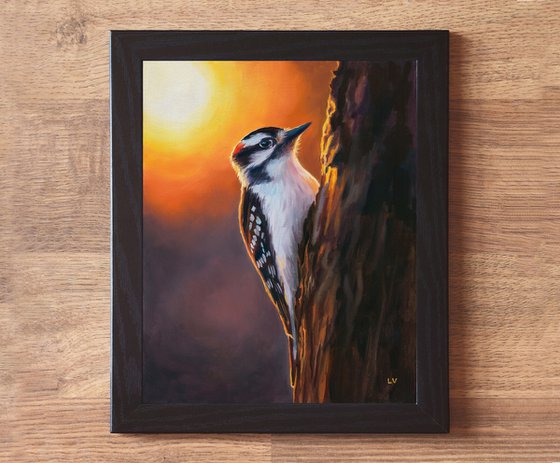 Downy woodpecker bird on a trunk
