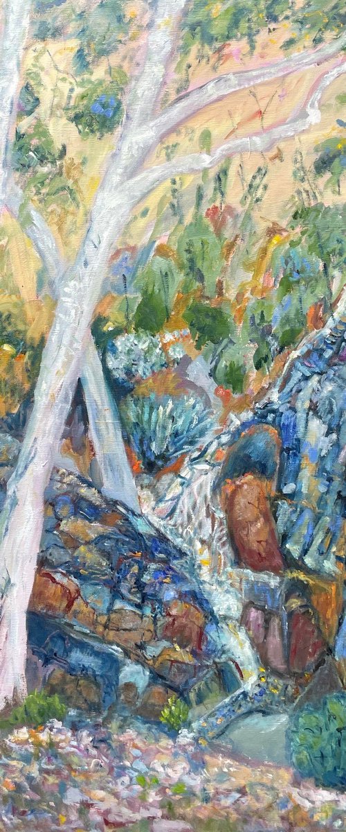 WHITE GUM TREES by Maureen Finck