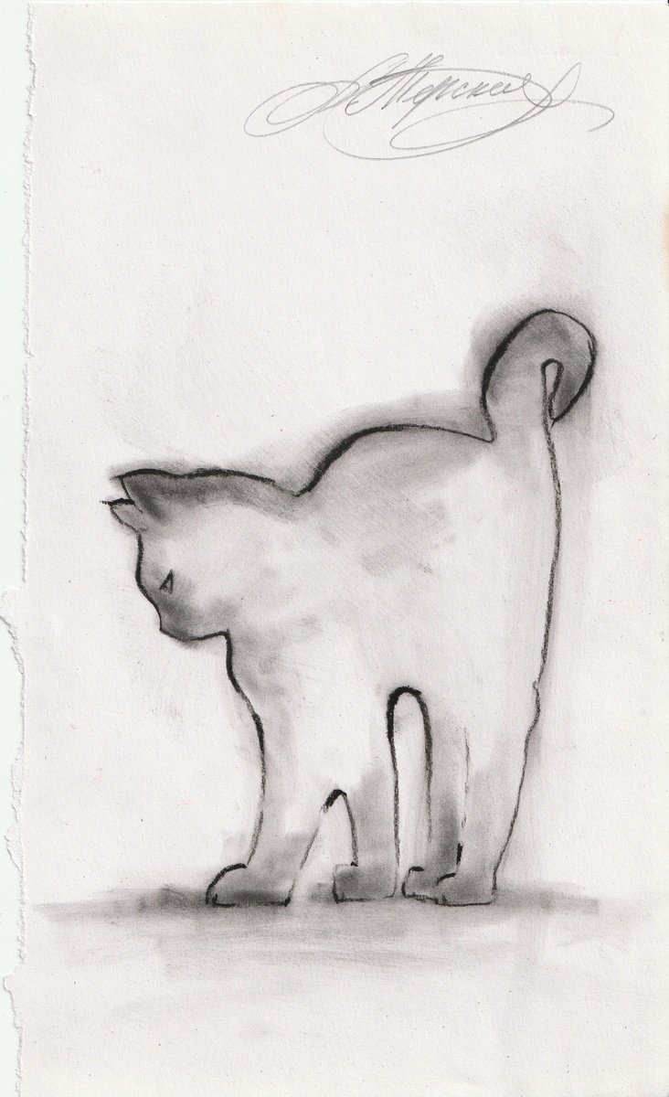 Animal Charcoal Drawing By Anastasia Terskih, 7 X 12, Cat, Original Artwork