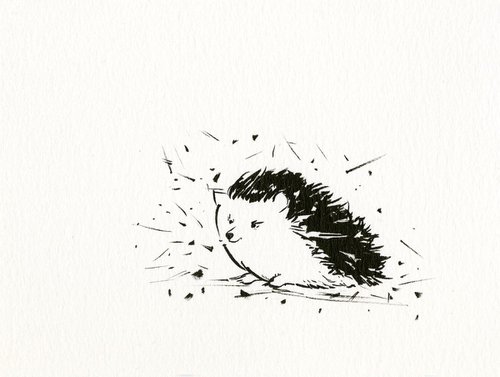 Adorable Hedgehog 6 - Small Minimalist Ink Illustration by Kathy Morton Stanion by Kathy Morton Stanion