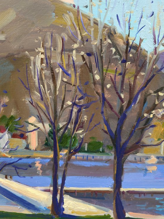 Spring afternoon by the lake