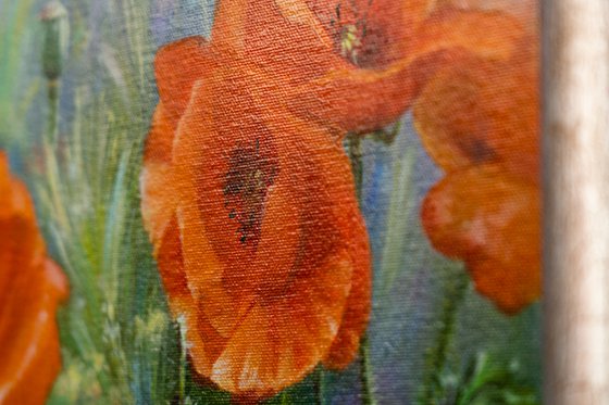 Poppies