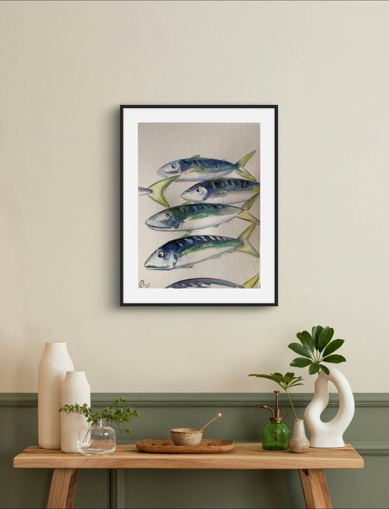 Fish life