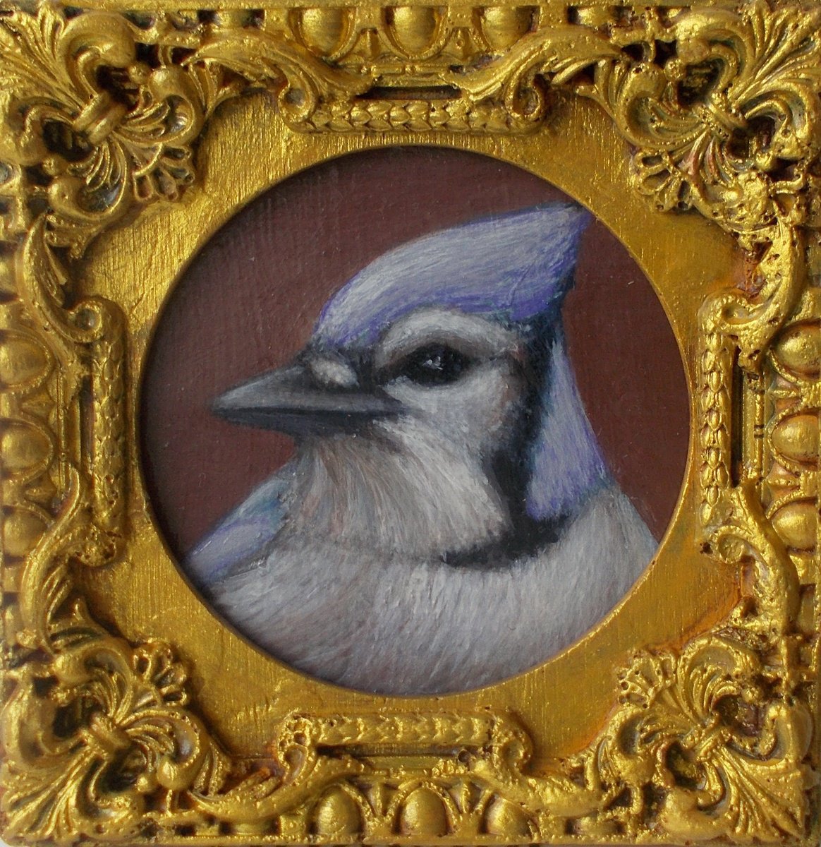 Blue Jay bird painting framed by Tatyana Mironova