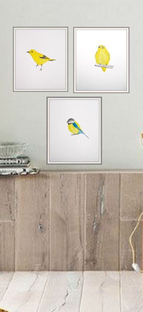 Birds by Nadia Moniatis