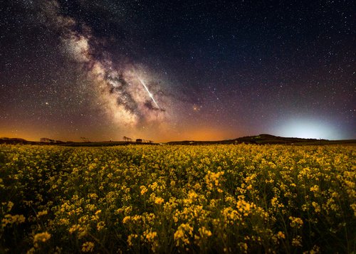 'Fields of May' Milky Way Print by Chad Powell