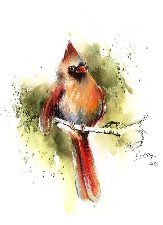 Northern Cardinal Female Bird Watercolor Painting