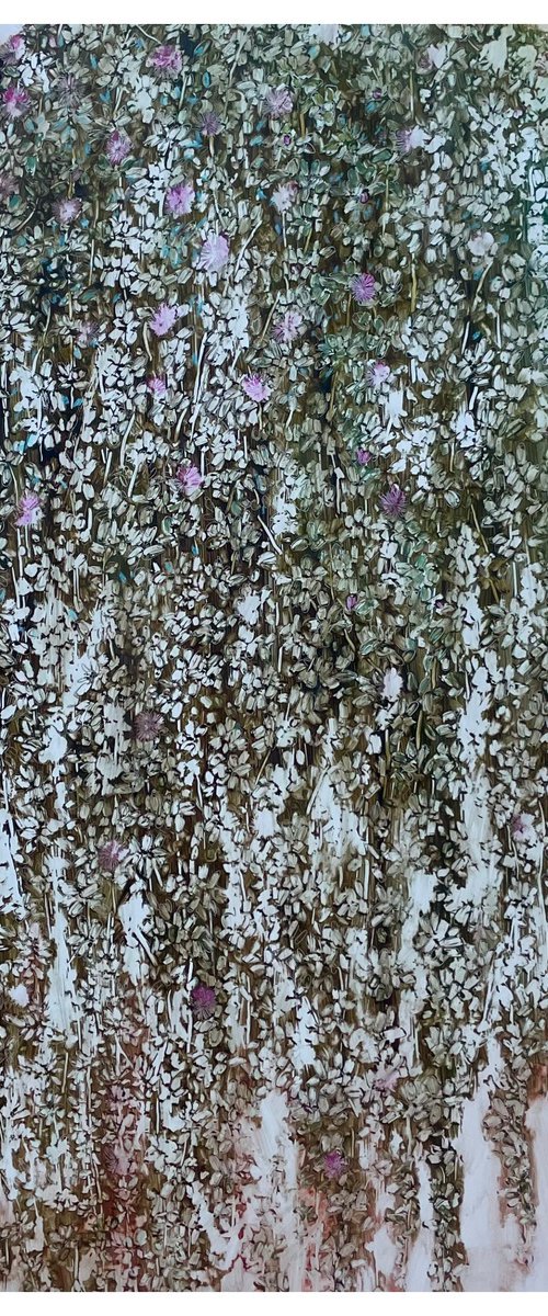 DROSANTHEMUM FLORIBUNDUM II by Maija Nochevnaya