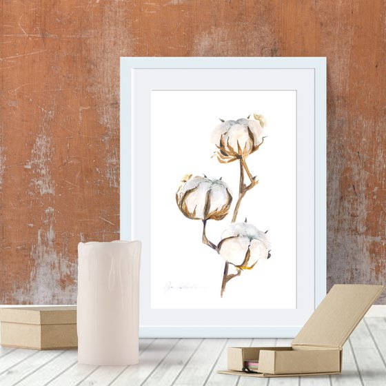 Cotton Branch Watercolor