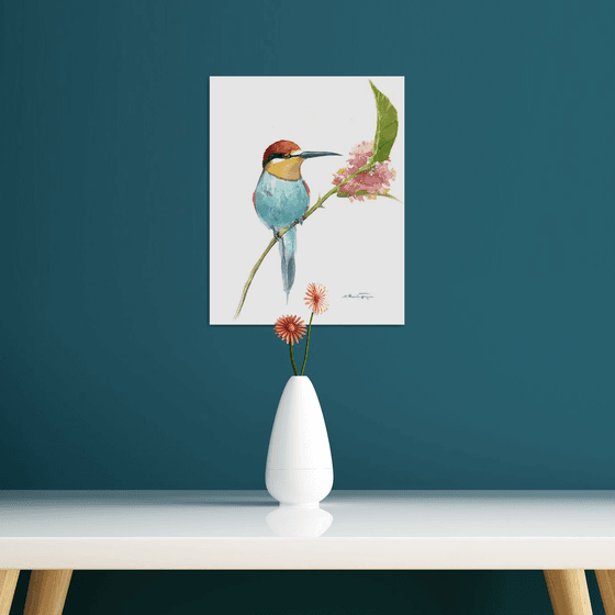 Bee-Eater
