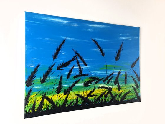 Sunrise in the grass