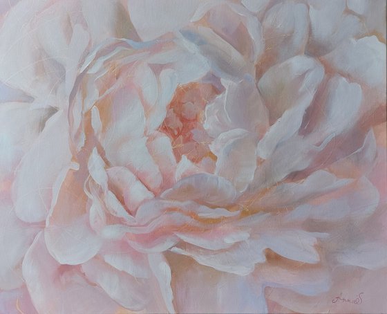 Summer Splendor
