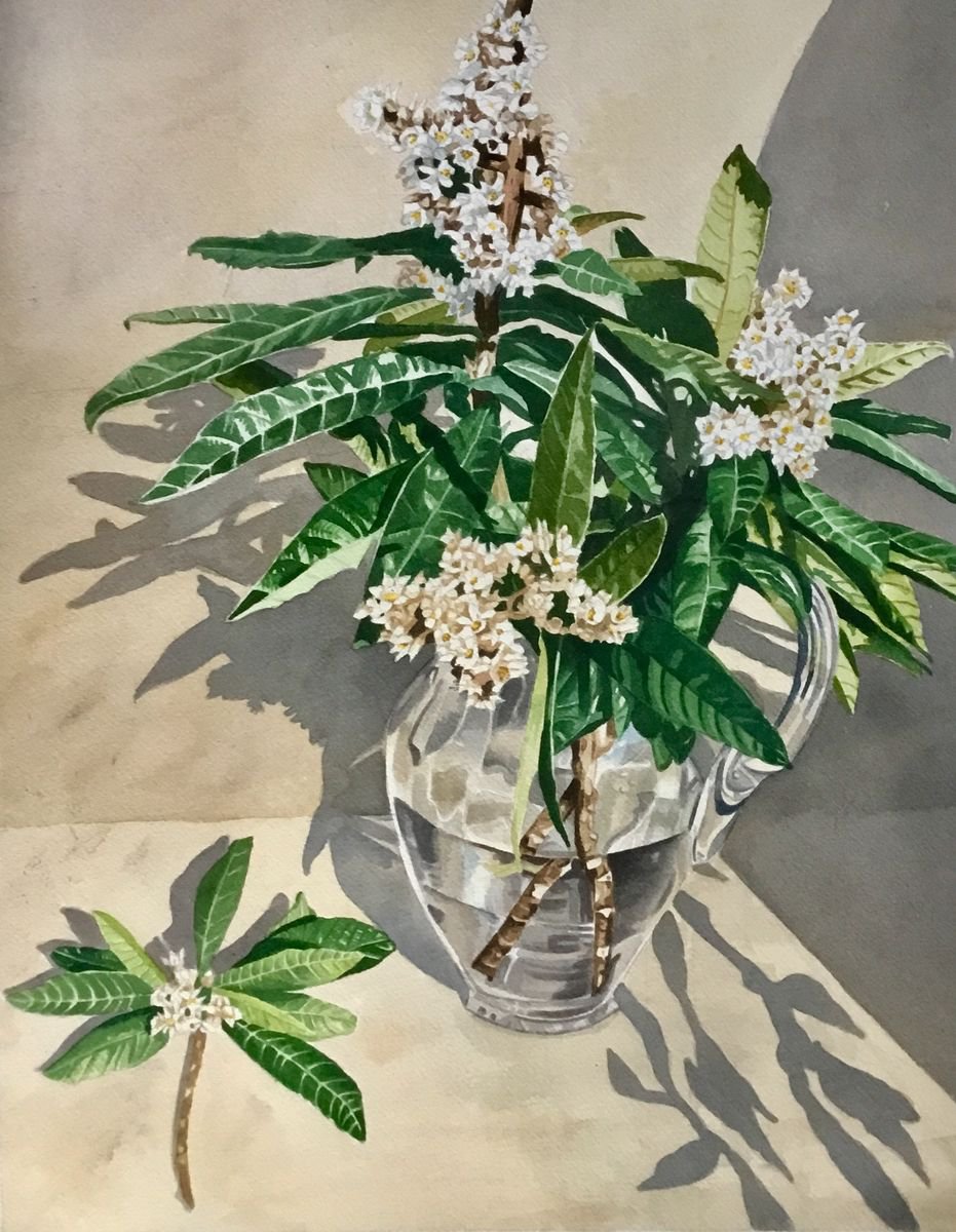 Mousmoula flowers in a glass jug by Rosalind Forster