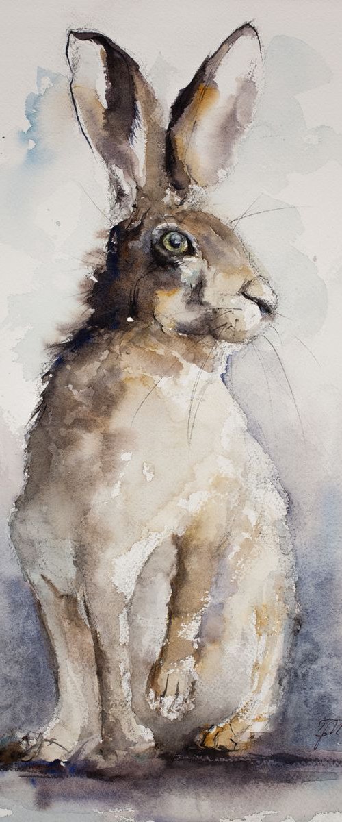 Standing Hare by Tomasz Mikutel