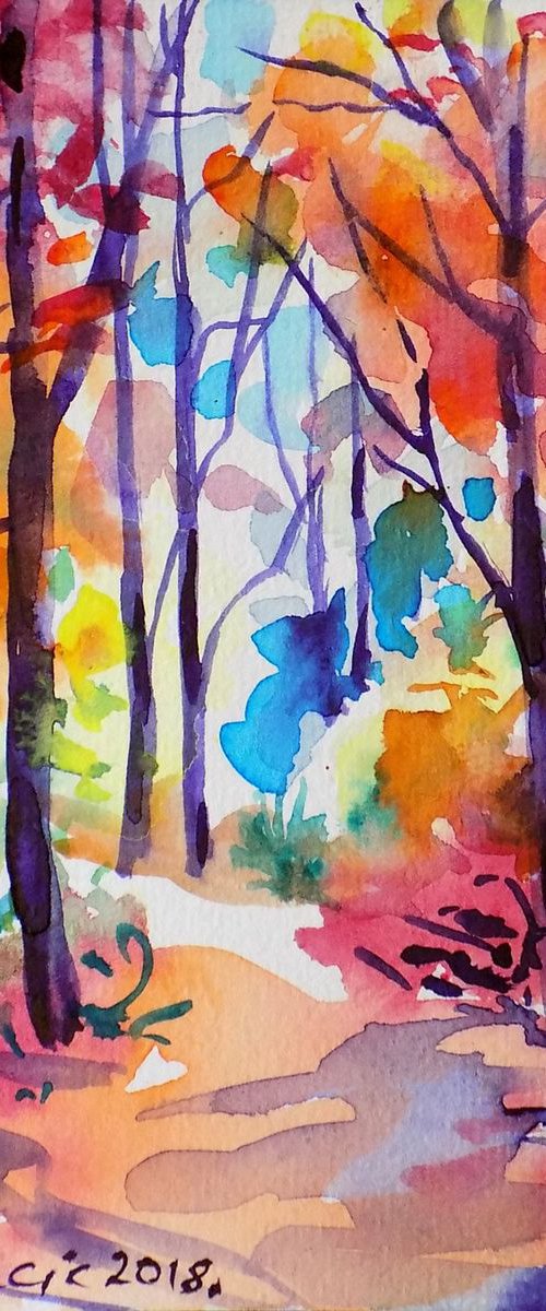 Little path in the forest by Maja Grecic