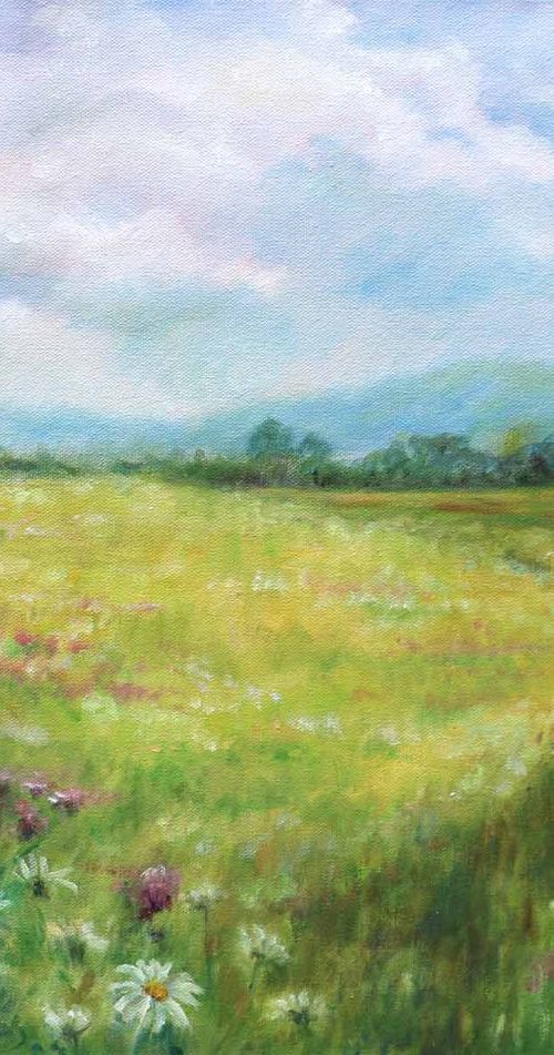 Meadow path by Ruth  Aslett