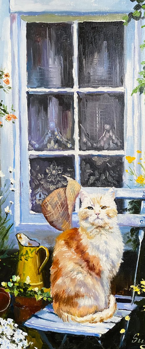 My beautiful cat by Elvira Sultanova