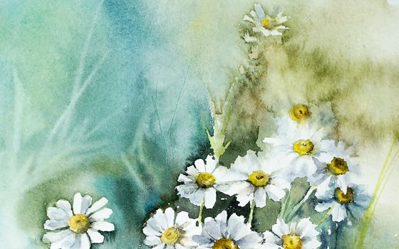 Chamomiles Watercolor Flowers - Impressionistic Art