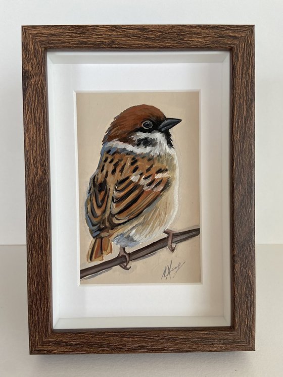Sparrow Bird painting mini art framed 16x12cm cute mini art