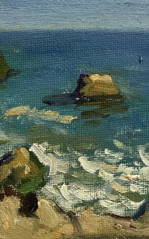 Santa Cruz rocks by Kate Sosonna