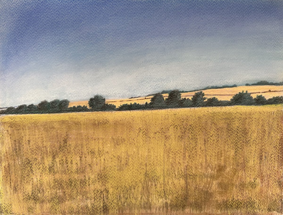 Expressive Landscape Pastel Drawing By Catherine Winget, 12 X 9, Norfolk Fields - Landscape Art, Original Artwork