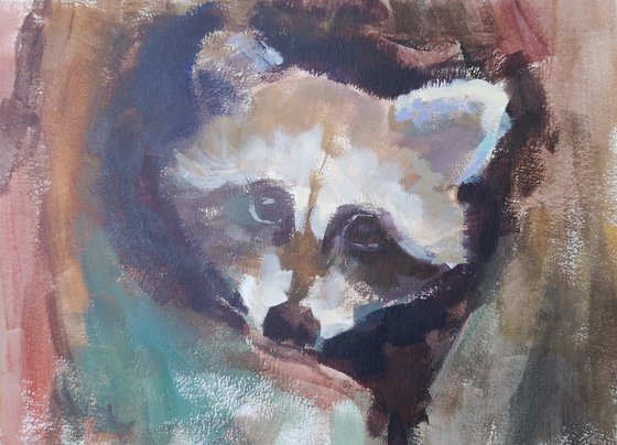 "Racoon" (acrylic on paper painting) (11x15x0.1'')