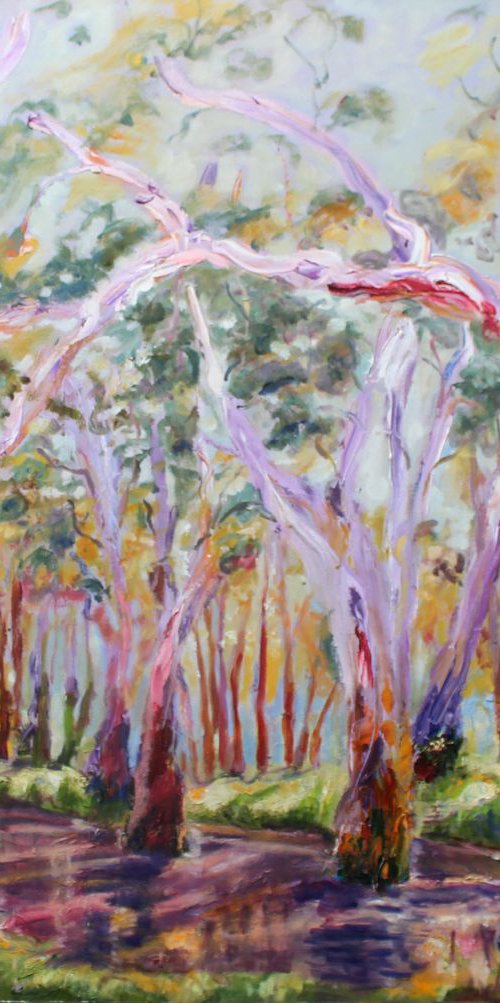 GUM TREES BY THE MURRUMBIDGEE RIVER by Maureen Finck