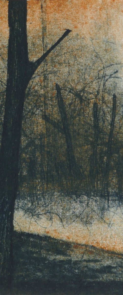 Unknown Path by Sue  Roe