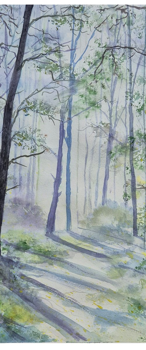 Morning Light Through the Forest by Yulia Schuster