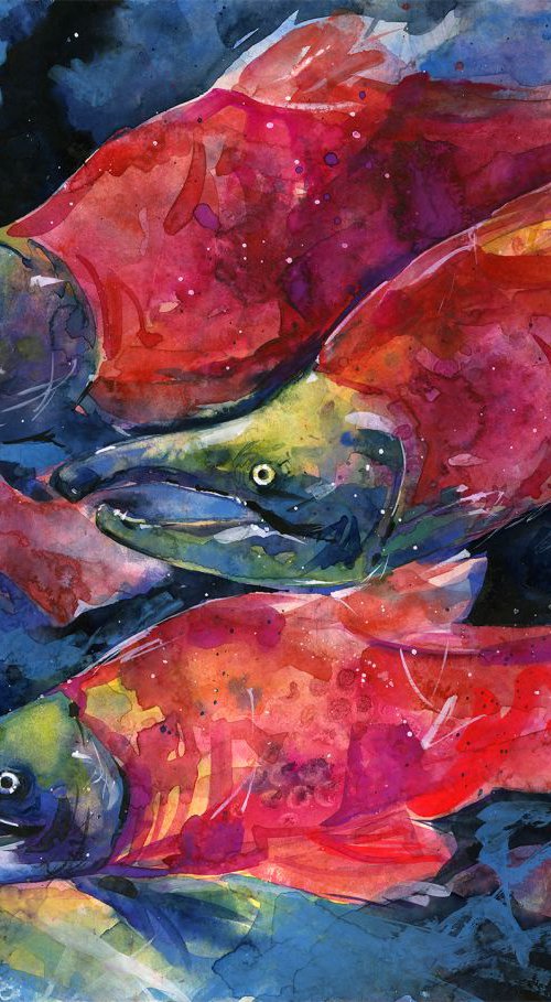 Sockeye Salmon by Kathy Morton Stanion