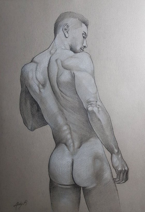 Sketch of the back