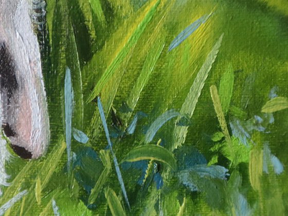 Little Bunny in Spring Grass