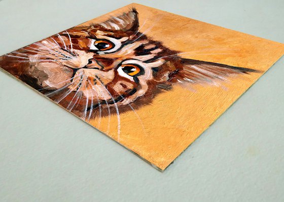 Tabby Cat