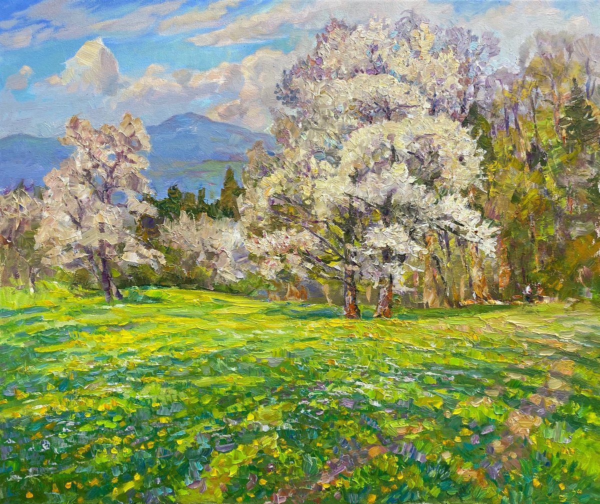 Impressionistic Landscape Oil Painting By Aleksandr Dubrovskyy, 24 X 20, Clouds In Sky And Ground, Original Artwork