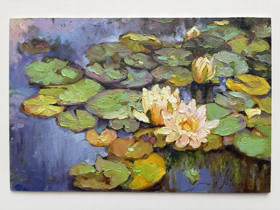 Water Lilies