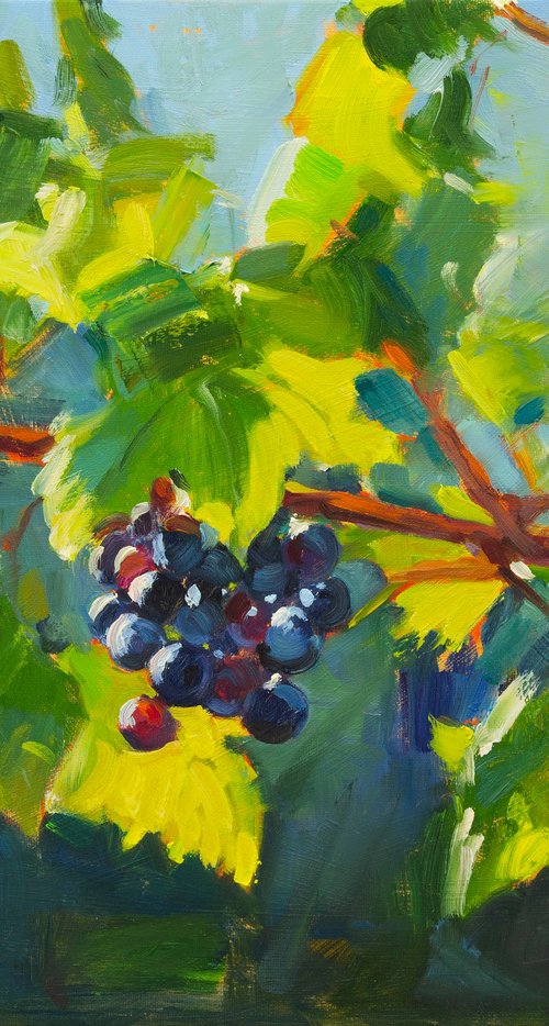 Sun-Kissed Grapes by Daria Zavadenko