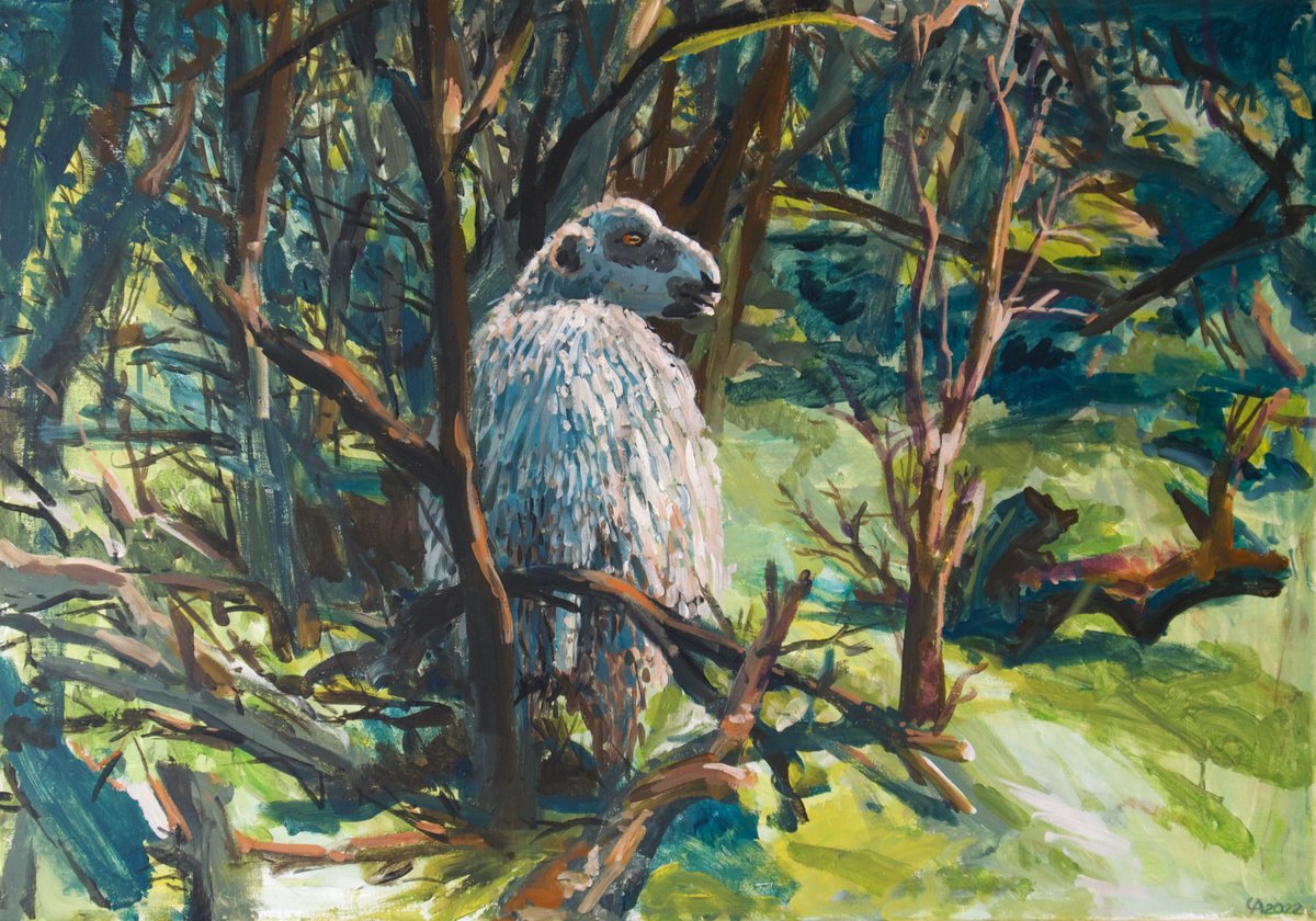  Wild Gaze Ii By Anastasia Chernysheva, 39 X 28, Artwork For Sale On Artfinder