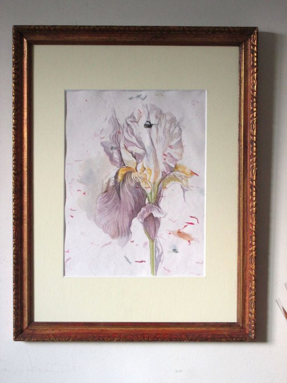 iris painting on hand made flower paper