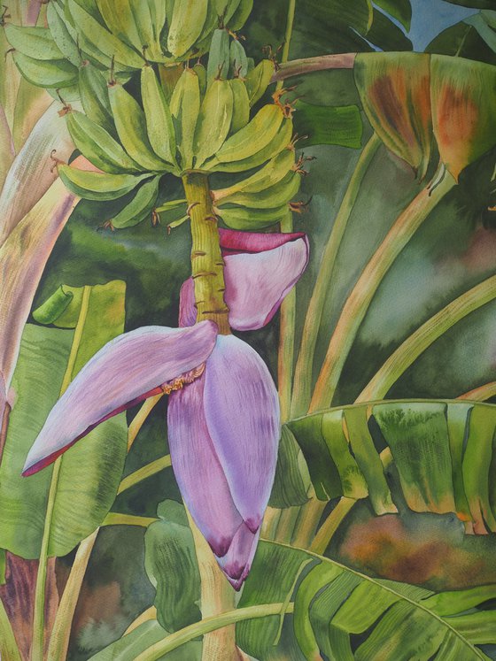 Banana palm - original watercolor
