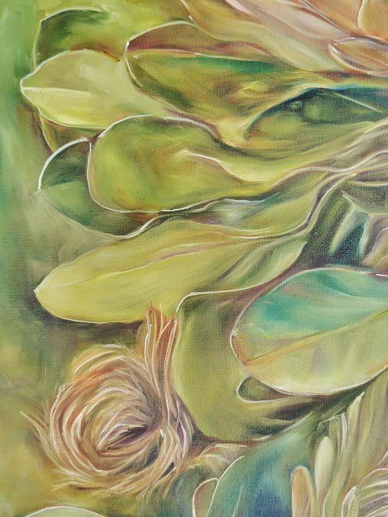 Protea